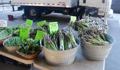 Help a Farmer and Help Yourself: On-Farm Volunteering to Learn Organic Production Basics Image